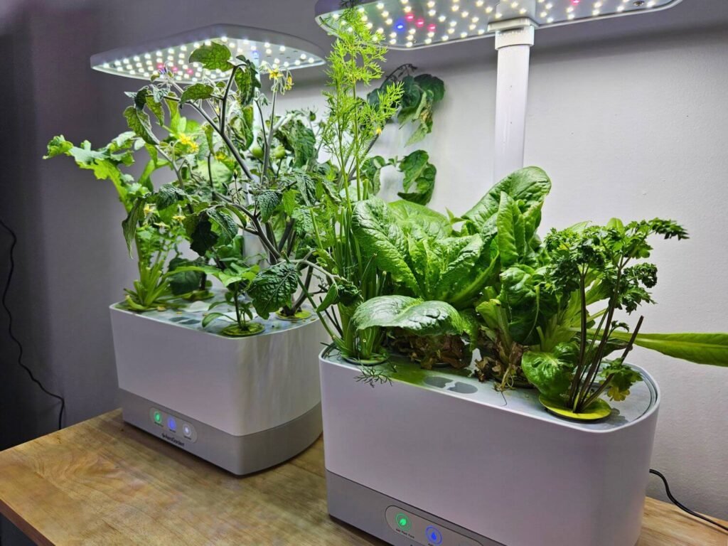 AeroGarden Harvest Elite Review