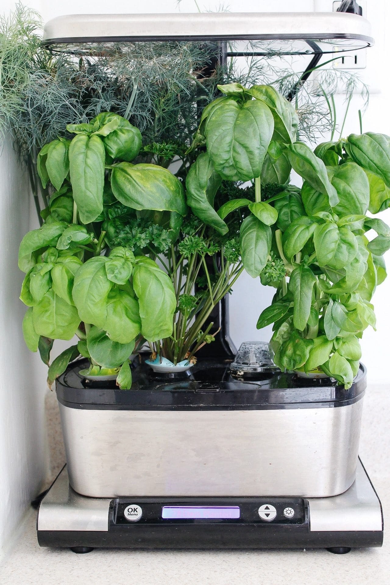 AeroGarden Pods Review