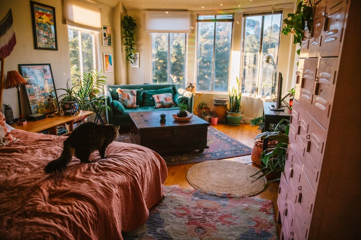 Overview of Rugs USA